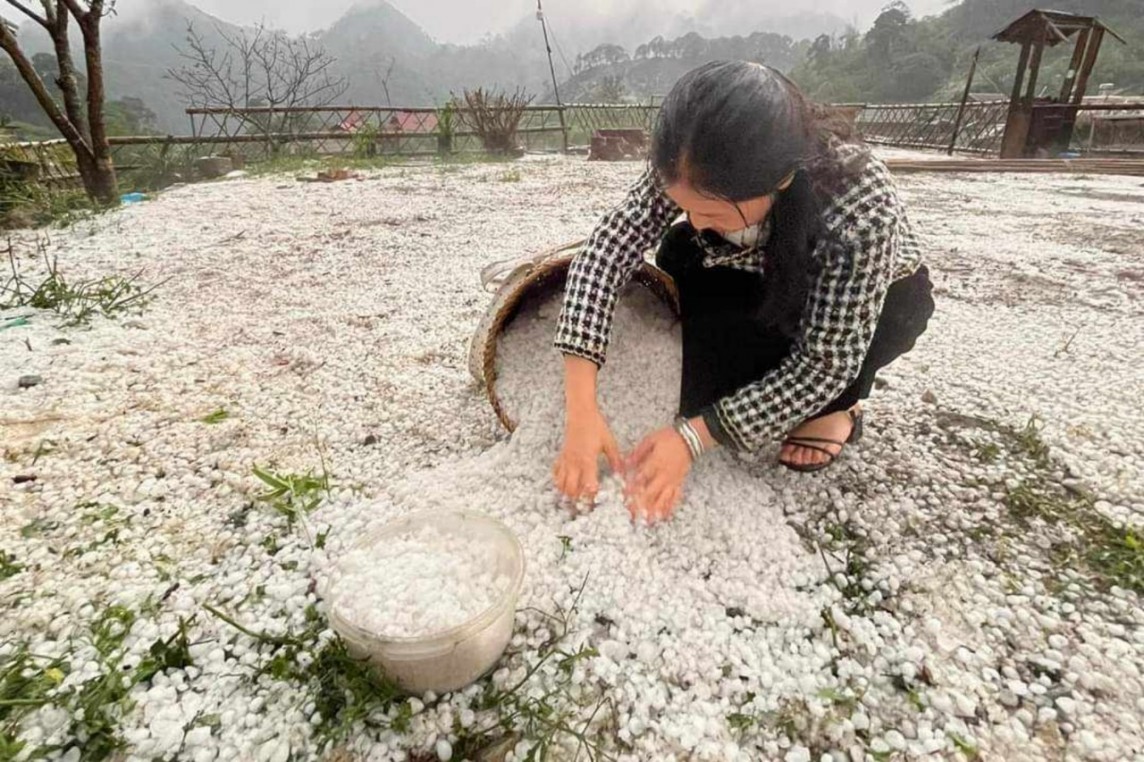 Sơn La: Mưa đá kinh hoàng tại Vân Hồ, hoa màu thiệt hại nặng nề
