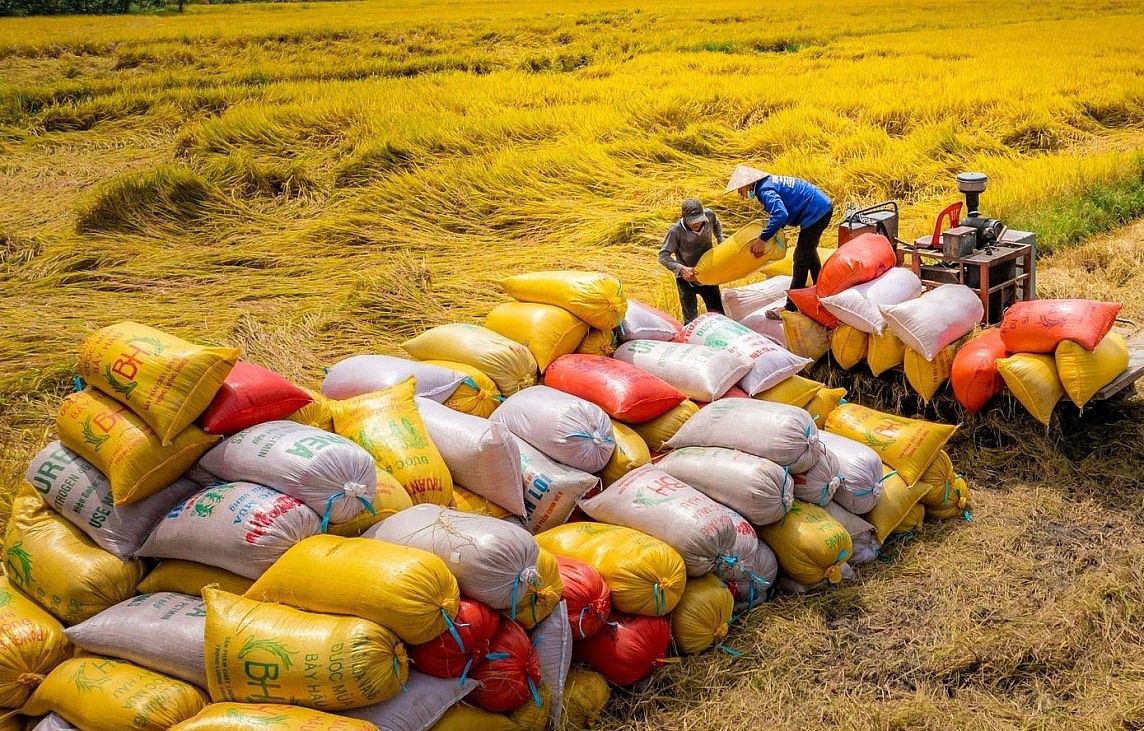 Gạo là mặt hàng xuất khẩu quan trọng trong số các mặt hàng nông sản xuất khẩu của Việt Nam