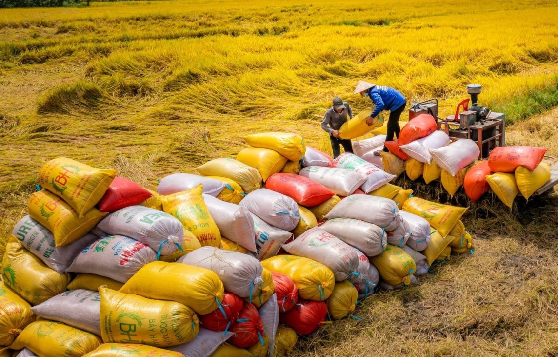 Gạo Việt đối diện với những ‘cơn sóng’ nhẹ