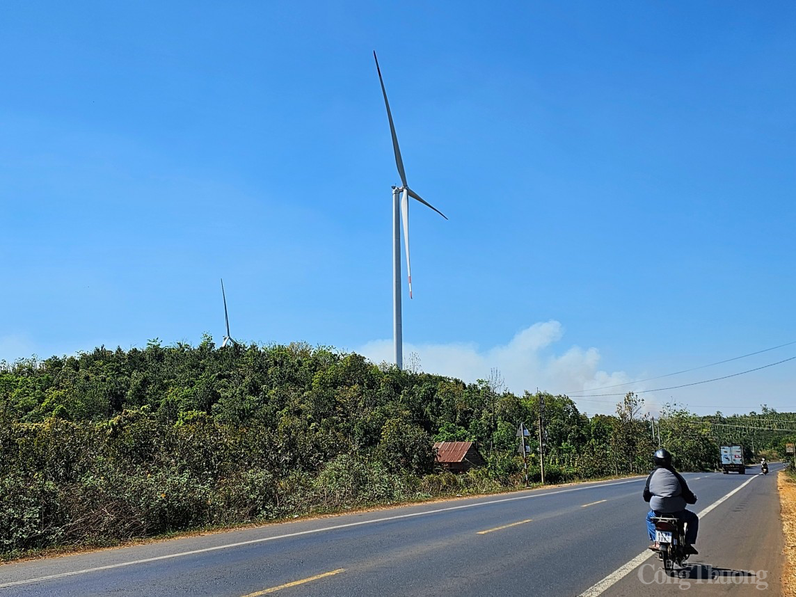 Đắk Nông: Cung cấp hồ sơ các dự án điện gió theo yêu cầu của Uỷ ban kiểm tra Trung ương