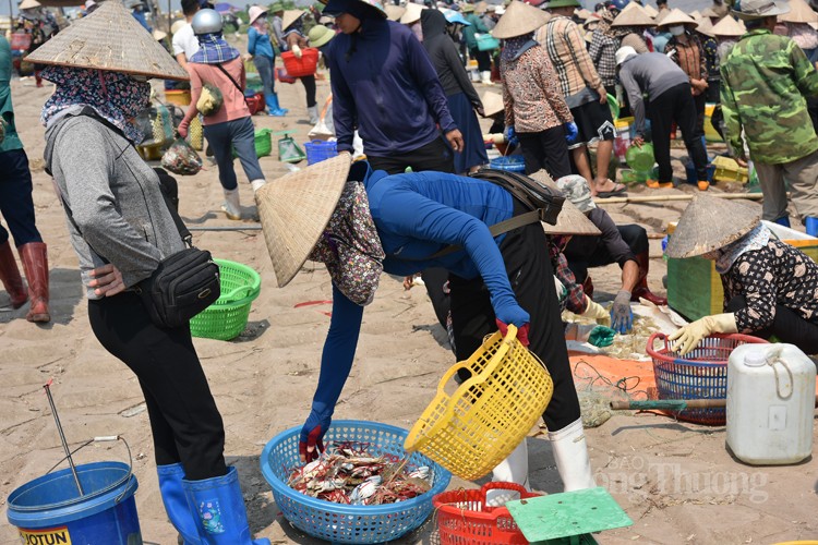 Chợ cá Giao Hải “tăng nhiệt” những ngày đầu nghỉ lễ