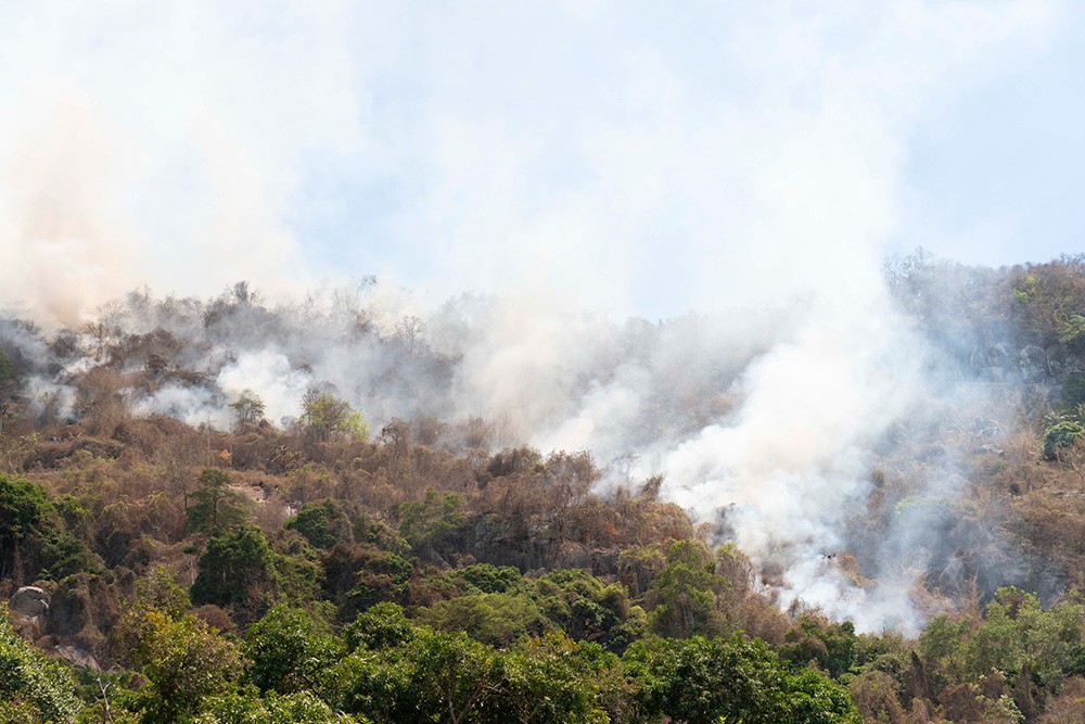 An Giang: Cả gần 500 người tham gia chữa cháy rừng tại núi Cô Tô, núi Dài