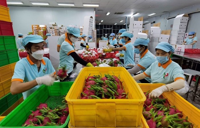 Tận dụng không gian thương mại, đẩy mạnh xúc tiến nông sản Việt sang thị trường Ấn Độ