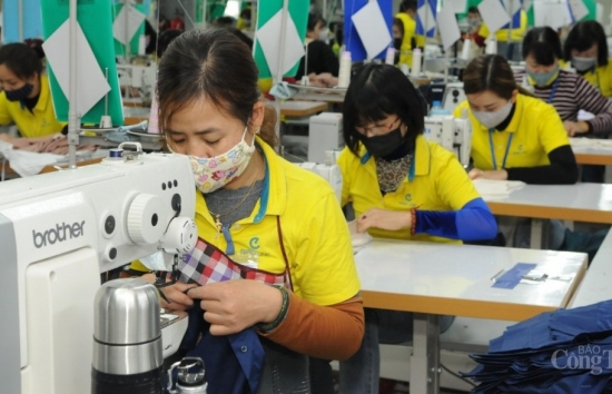 Lợi thế cạnh tranh hàng dệt may Việt Nam tại Mỹ ra sao?