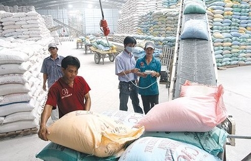 Tìm người mua hơn 3,3 nghìn tấn gạo dự trữ quốc gia