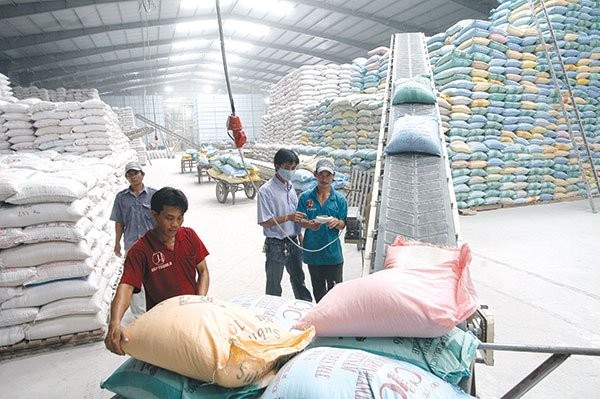 Tìm người mua hơn 3,3 nghìn tấn gạo dự trữ quốc gia