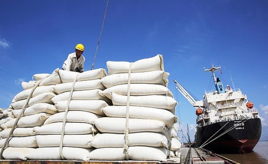 Lựa chọn tổ chức đấu giá 9.208 tấn gạo dự trữ quốc gia