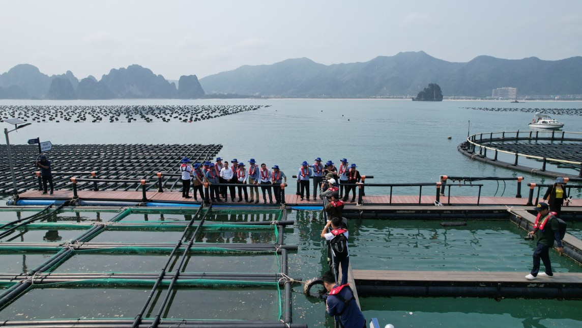 Quảng Ninh chú trọng phát triển bền vững kinh tế biển
