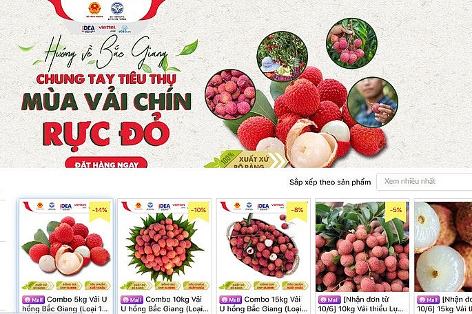 Triển khai bán hàng trên các sàn thương mại điện tử