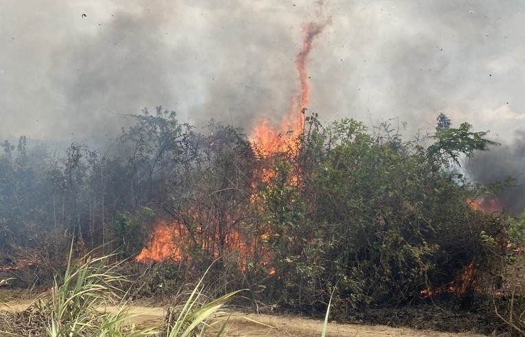 Hàng chục ha rừng ở Khánh Hoà cháy dữ dội