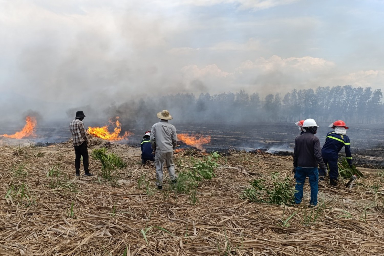 Khánh Hoà: Khoảng 30 ha rừng bị thiệt hại sau vụ cháy