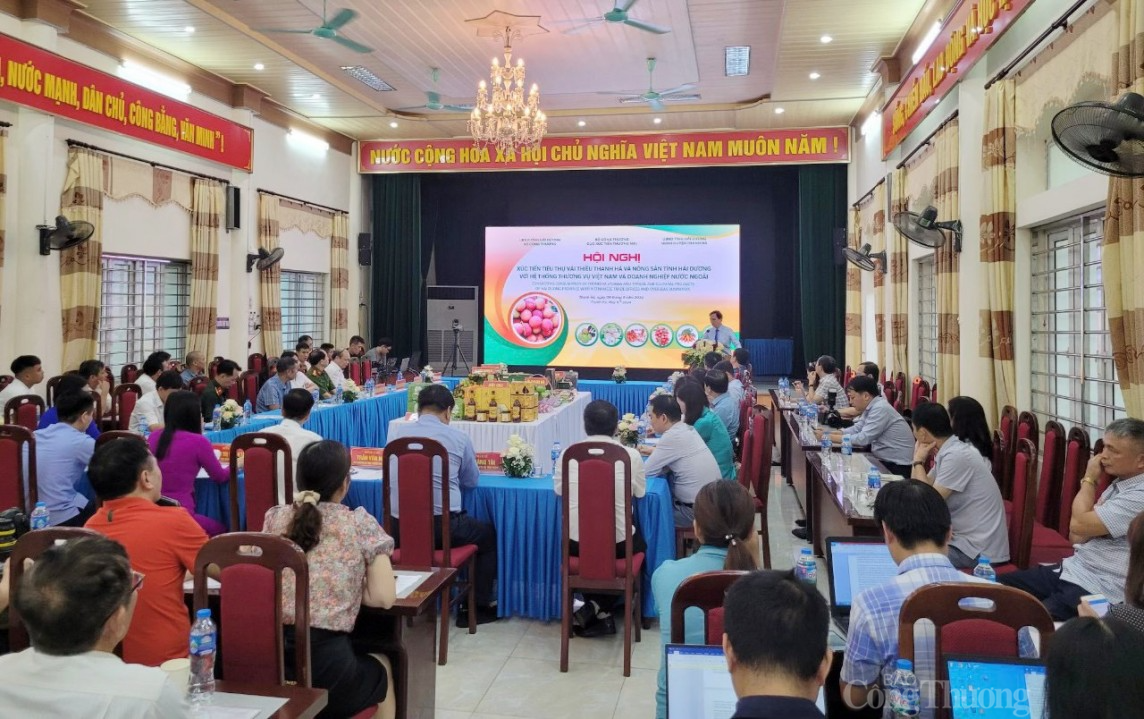 Hội nghị xúc tiến tiêu thụ vải thiều Thanh Hà và nông sản của tỉnh với các Thương vụ Việt Nam và doanh nghiệp nước ngoài