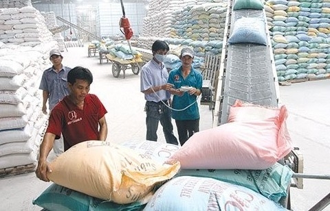 Quảng Bình: Tìm người mua 3,3 nghìn tấn gạo dự trữ quốc gia