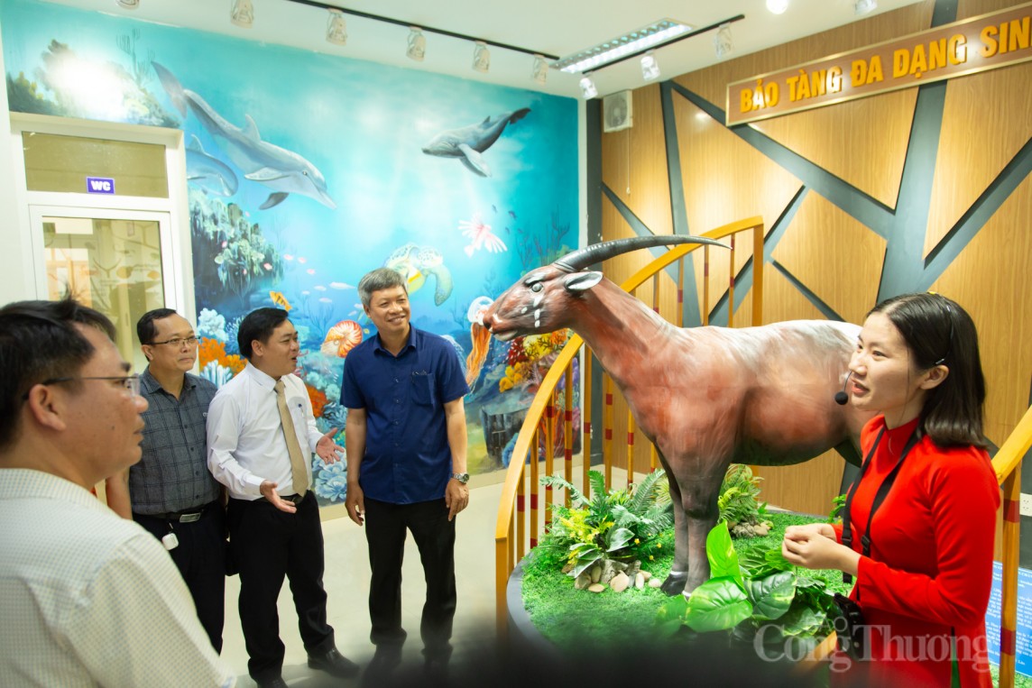 Quảng Nam: Ra mắt bảo tàng đa dạng sinh học cấp tỉnh đầu tiên trong cả nước