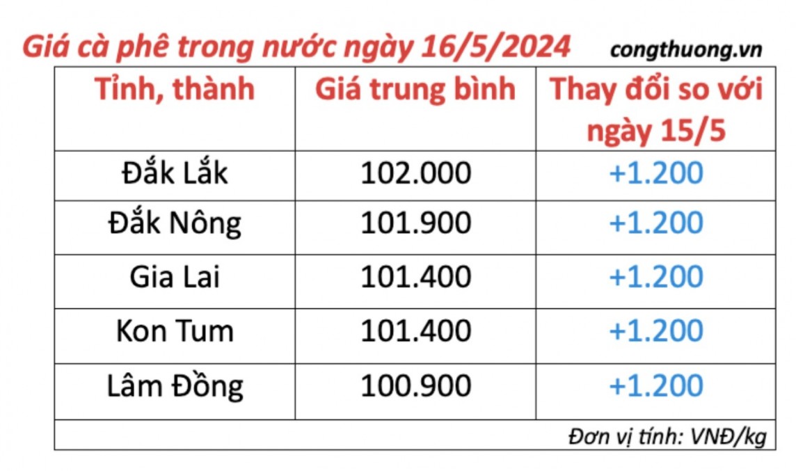 Giá cà phê hôm nay, 16/5/2024: Giá cà phê trong nước tăng trở lại