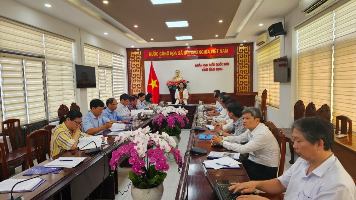 Đoàn Đại biểu Quốc hội tỉnh làm việc với PC Bình Định