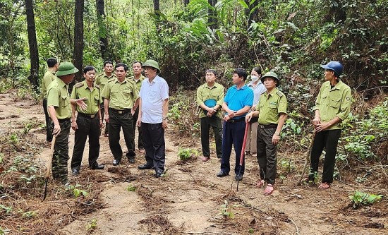 Thanh Hoá triển khai các biện pháp cấp bách phòng cháy, chữa cháy rừng