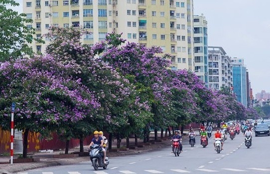 Dự báo thời tiết Hà Nội ngày mai 22/5/2024: Hà Nội ngày nắng gián đoạn, chiều tối mưa dông
