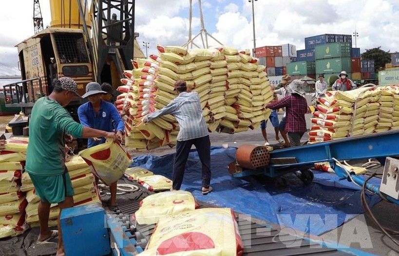 Xuất khẩu gạo sang Singapore: Chú trọng chất lượng, đẩy mạnh xúc tiến thương mại