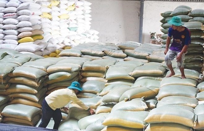 Đấu giá 2.300 tấn gạo của Cục Dự trữ Nhà nước khu vực Thanh Hóa