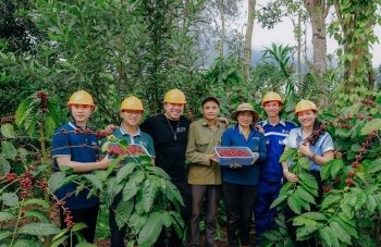 Bài 3: "Chìa khoá" thành công của Tây Nguyên