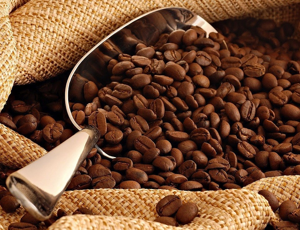 Giá cà phê xuất khẩu tăng gần 50%