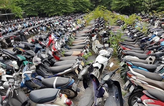 Bình Định: Đấu giá lô 76 xe mô tô vi phạm giao thông
