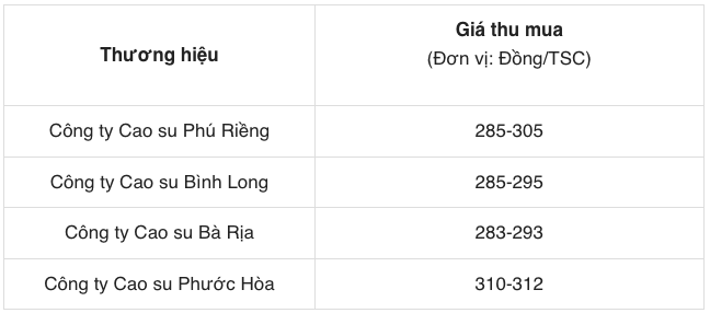 Giá cao su ngày 30/5/2024: Tăng mạnh 3,4%