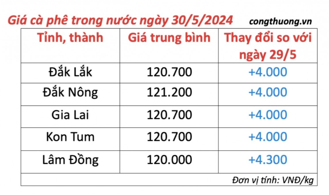 Giá cà phê hôm nay, 30/5/2024: Giá cà phê trong nước tăng mạnh