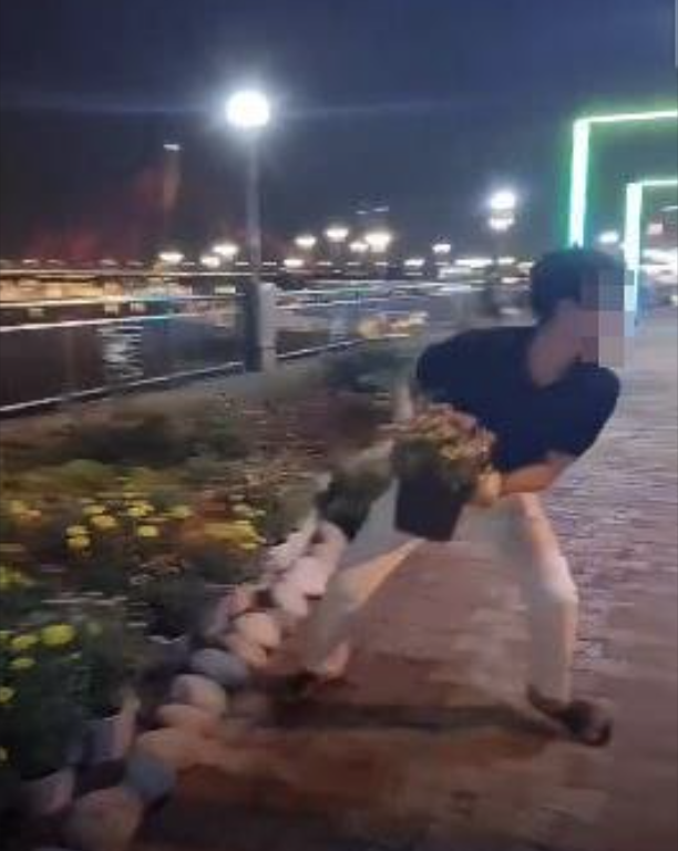 Đà Nẵng: Nam thanh niên dựng chuyện trộm cây cảnh rồi quay clip để câu view