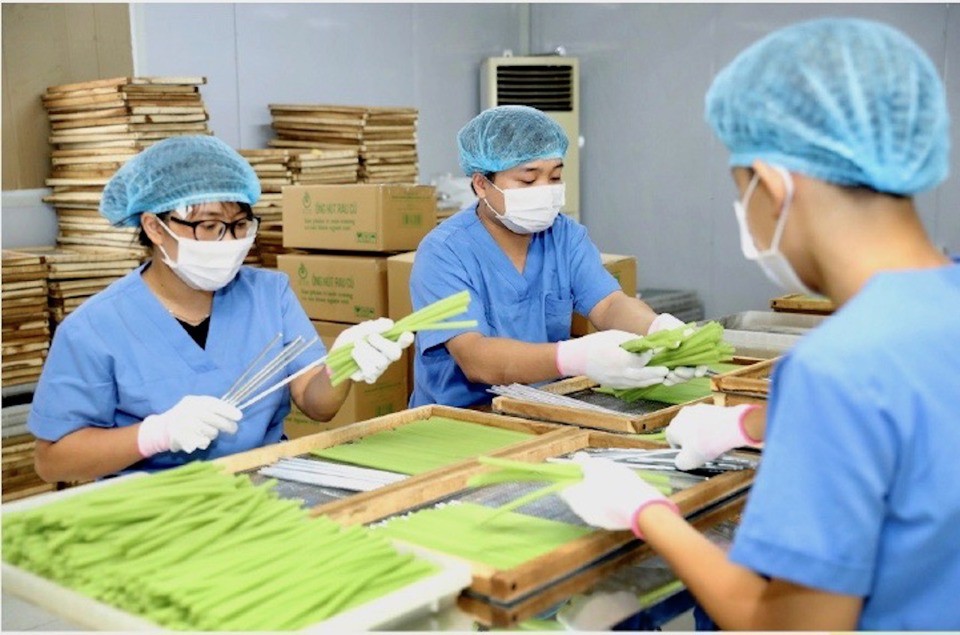 Hà Nội: Nâng cao hiệu quả xúc tiến thương mại, trợ lực cho xuất khẩu