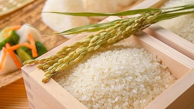 Giá lúa gạo hôm nay 5/6/2024: Giá gạo trong nước tăng 100 - 150 đồng/kg