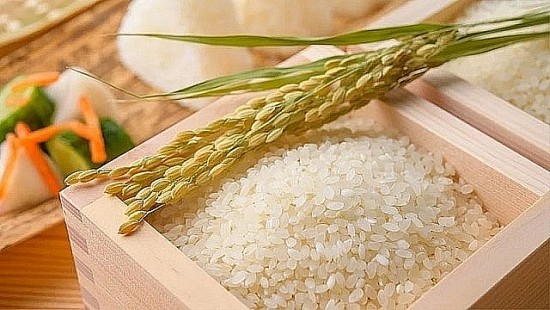 Giá lúa gạo hôm nay 5/6/2024: Giá gạo trong nước tăng 100 - 150 đồng/kg