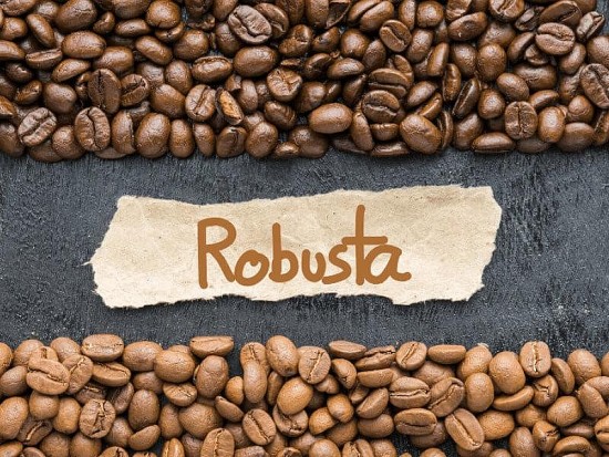 Đâu là lý do khiến giá cà phê Robusta xuất khẩu tăng cao nhất lịch sử?