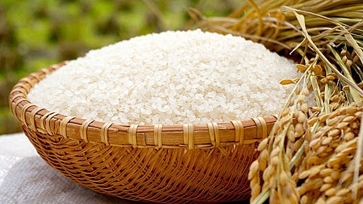 Giá lúa gạo hôm nay ngày 9/6/2024 và tổng kết tuần qua: Giá gạo tăng từ 100-150 đồng/kg