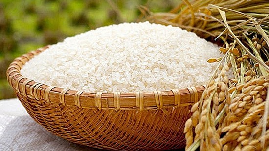 Xuất cấp 1.832,655 tấn gạo cho 3 địa phương dịp giáp hạt năm 2024