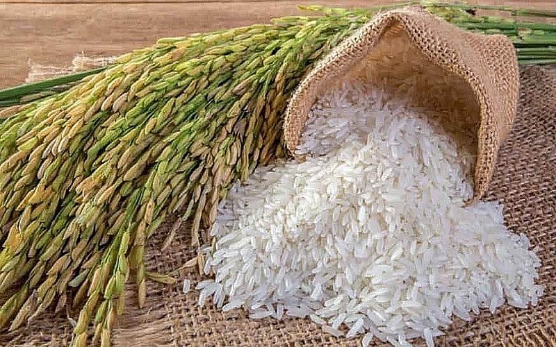 Giá lúa gạo hôm nay ngày 15/6: Giá gạo, giá lúa đều giảm