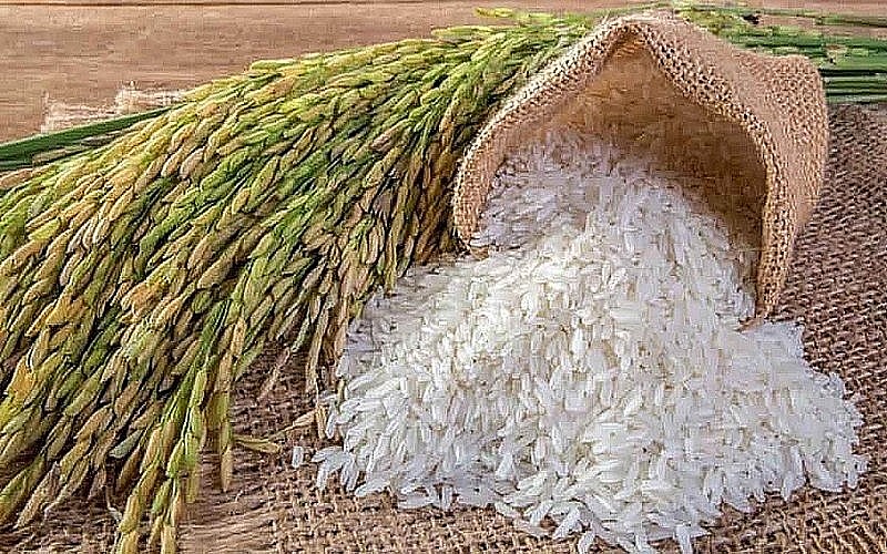 Philippines chính thức quyết định giảm thuế nhập khẩu gạo xuống còn 15%