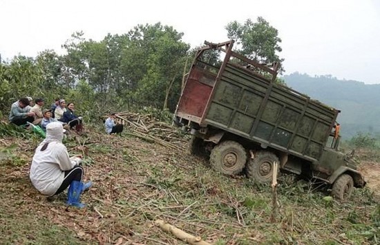 Thanh Hóa: Đóng cửa hàng loạt cơ sở chế biến keo tự phát, cần tránh để xảy ra những hệ lụy buồn