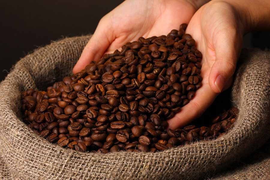 Dự báo giá cà phê ngày 17/6/2024: Cà phê trong nước giảm mạnh sau 4 tuần tăng liên tục?