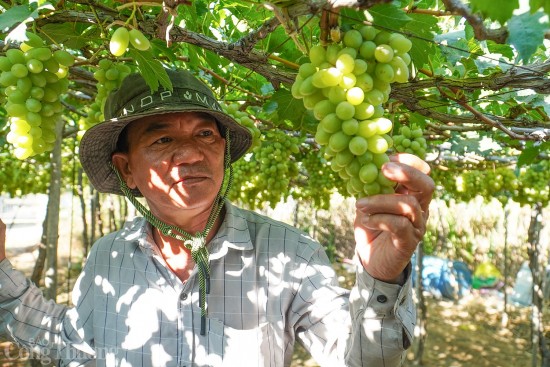 Ninh Thuận và Hà Lan ký bản ghi nhớ hợp tác về nông nghiệp