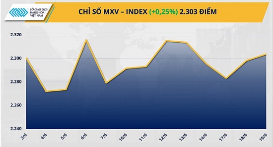 Thị trường hàng hóa hôm nay ngày 20/6/2024: Thị trường hàng hoá nguyên liệu trầm lắng trong ngày nghỉ lễ của Mỹ