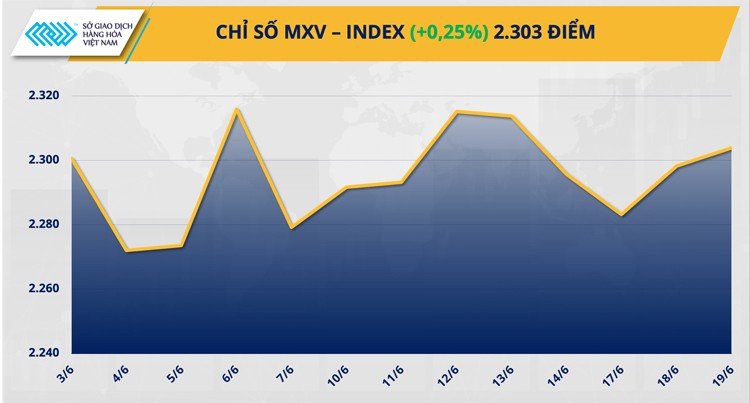 Thị trường hàng hóa hôm nay ngày 20/6/2024: Thị trường hàng hoá nguyên liệu trầm lắng trong ngày nghỉ lễ của Mỹ