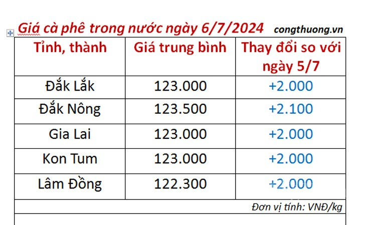 Giá cà phê hôm nay 6/7/2024: Gía cà phê trong nước tăng