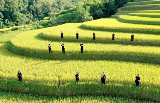 Hà Giang: Bán lẻ hàng hóa và doanh thu dịch vụ tiêu dùng tăng gần 20%