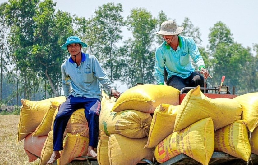 Lệnh giảm thuế nhập khẩu gạo của Philippines xuống 15% liệu có khả thi?