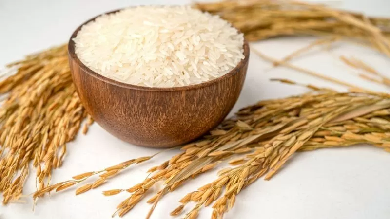 Giá lúa gạo hôm nay ngày 10/7: Giá gạo giảm 100 - 150 đồng/kg, giá lúa đi ngang