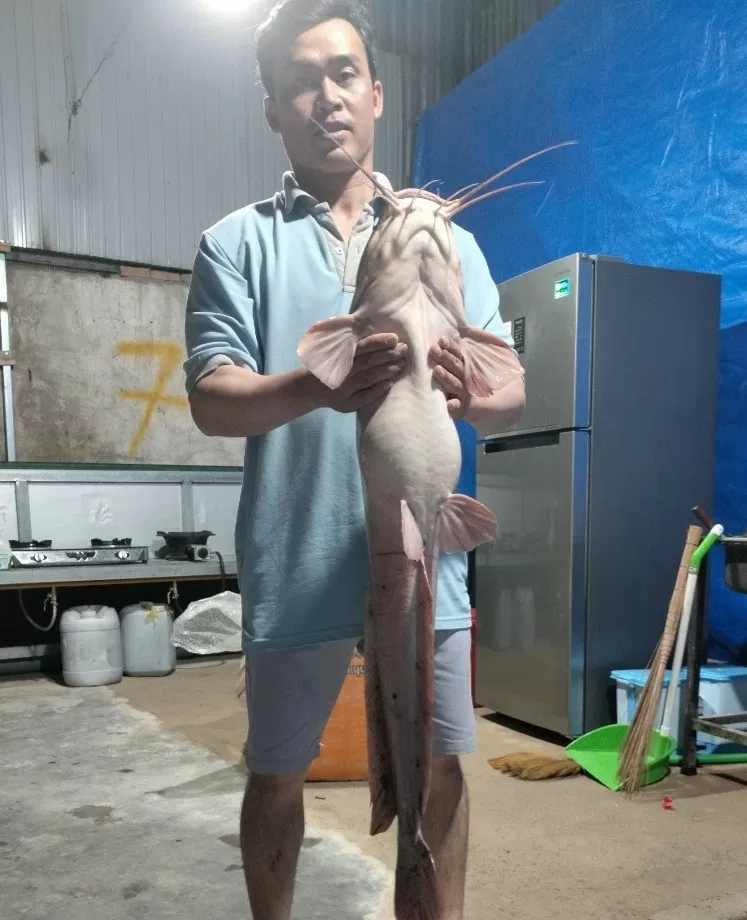 Câu được cá trê "khủng" tại hồ Xuân Hương Đà Lạt