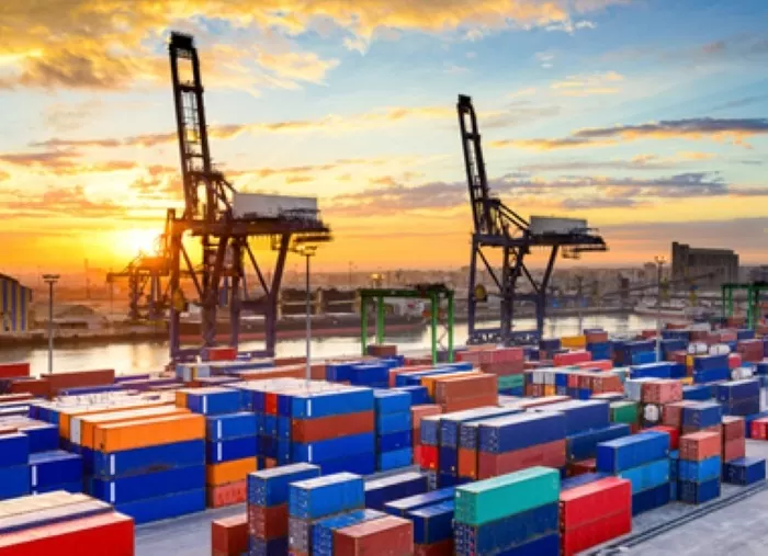 Doanh nghiệp logistics Việt mở rộng xúc tiến tiếp cận thị trường mới