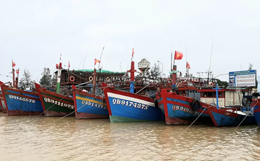 Quảng Bình: Hơn 420 tàu thuyền trên biển tìm nơi tránh trú do áp thấp nhiệt đới mạnh